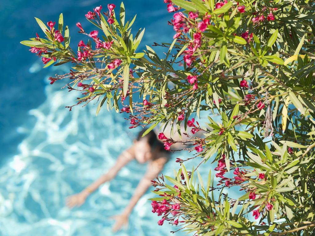 Le Val Duchesse Hotel&Appartements Cagnes-sur-Mer Buitenkant foto